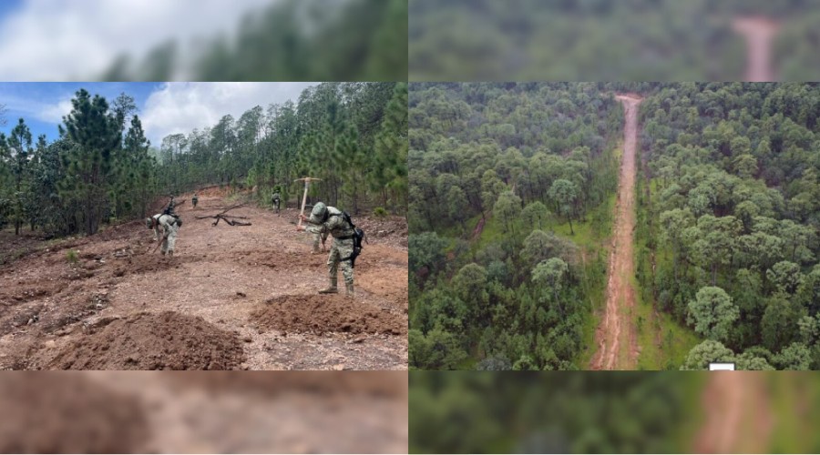 Pista clandestina en Sinaloa