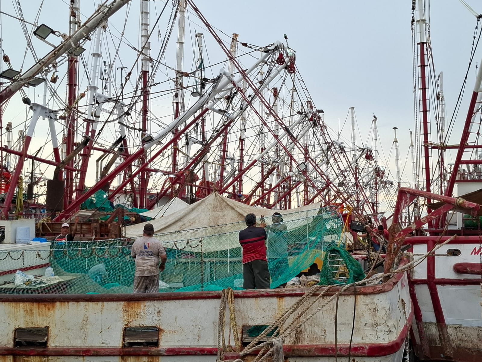 Pescadores en espera de levantamiento de la veda del camarón