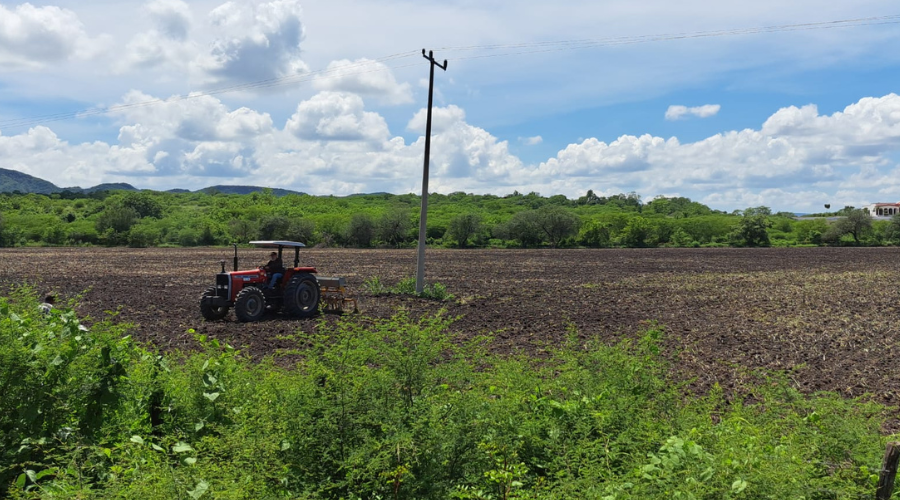 Campo de agricultura