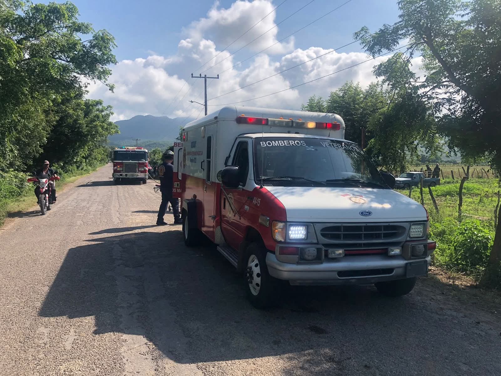 Abejas atacan a trabajador del campo