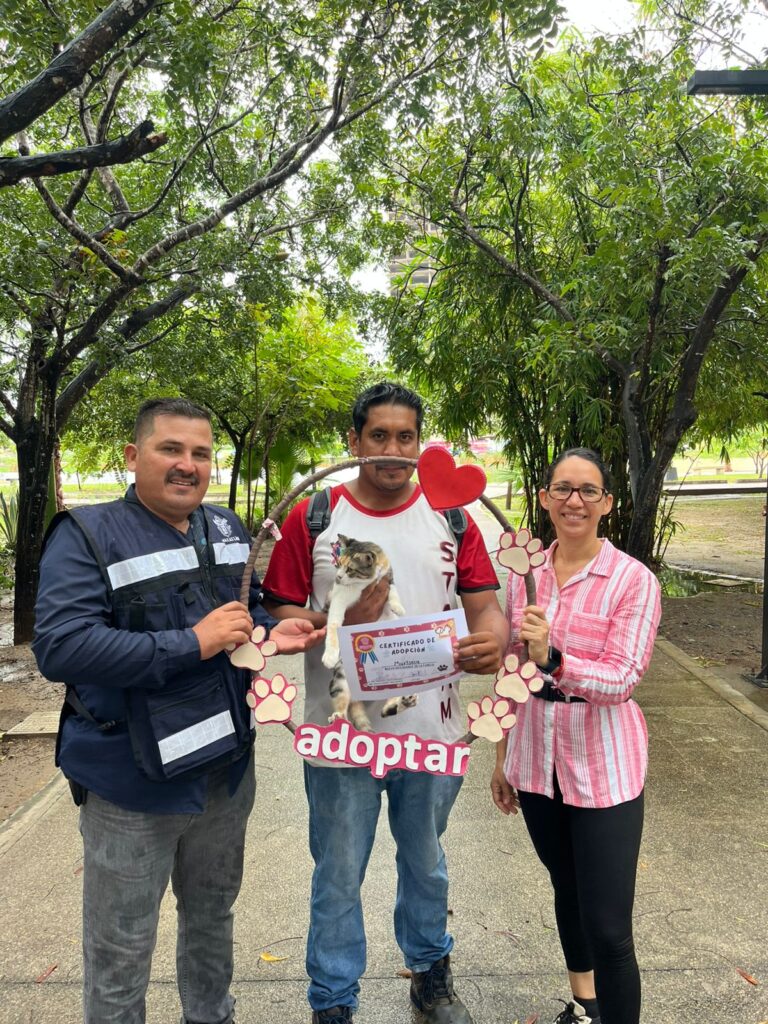 Aun con la lluvia Huellitas del Bienestar realiza 10 esterilizaciones gratuitas en Mazatlán
