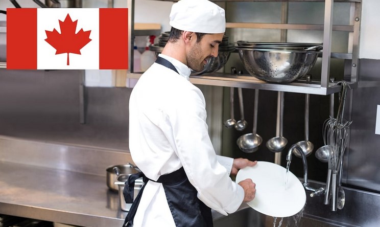 ¿Te gustaría trabajar como ayudante de cocina? Abren vacantes en Canadá y estos son los requisitos