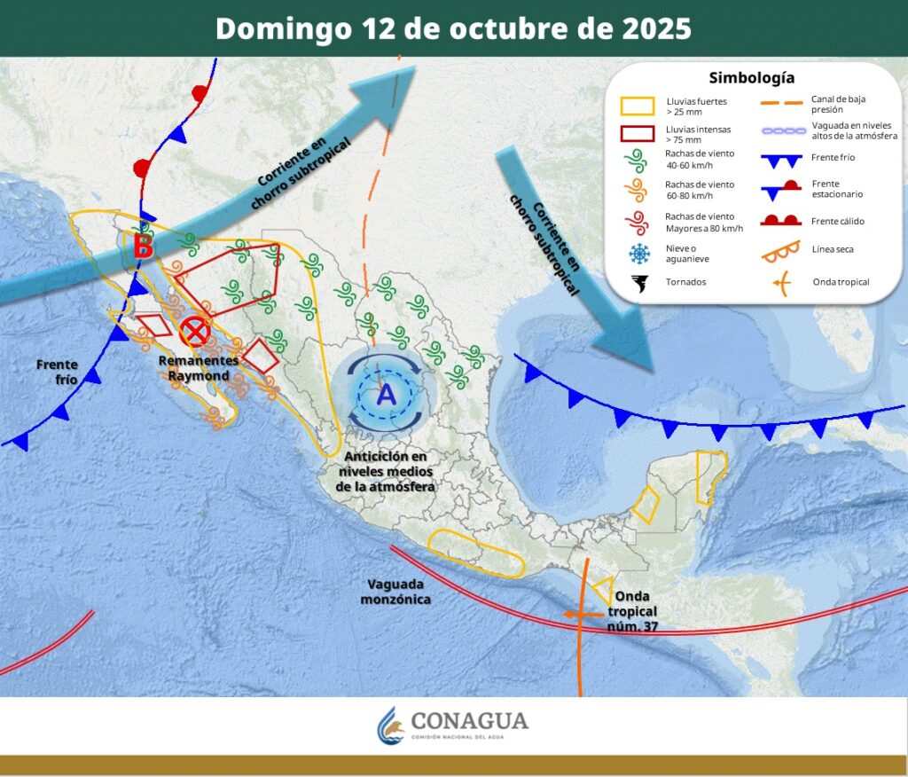 Domingo 12 de octubre del 2025