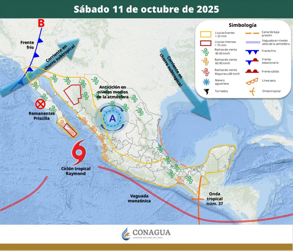 Sábado 11 de octubre del 2025
