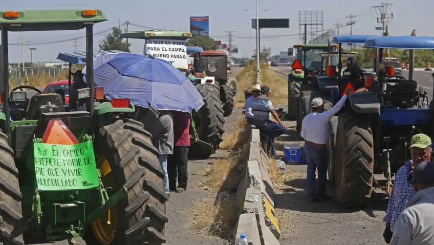 Productores agrícolas