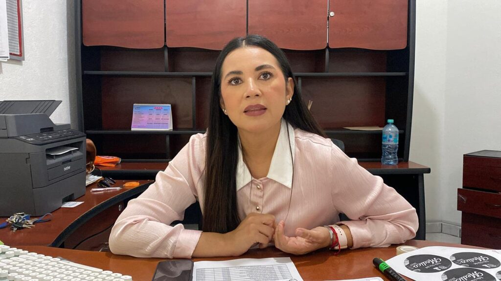 Claudia Leyva Medina, directora general de Salud y Bienestar Social del ayuntamiento