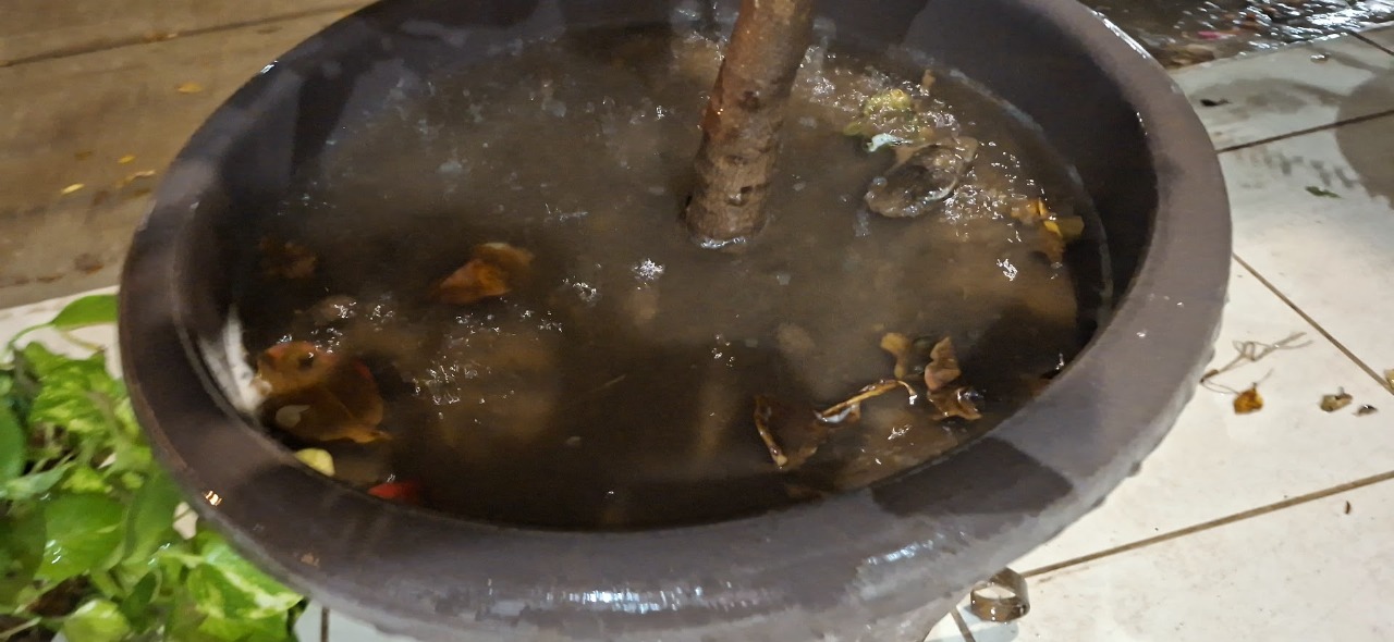 Van 95 casos: se dispara el dengue en la región centro-norte de Sinaloa