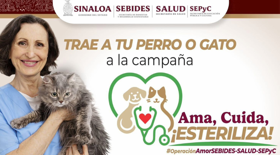 Campaña de esterilización gratuita de perros y gatos en Guasave.