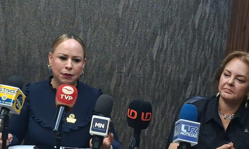 Dulce Ruiz Castro, presidenta de Ammje