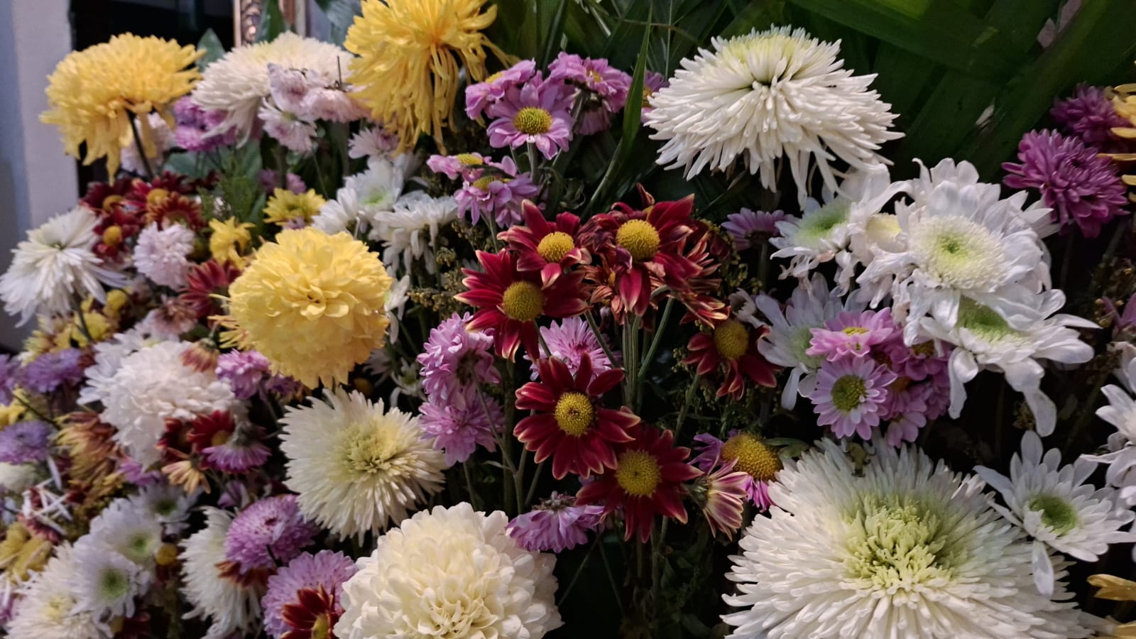 Flores