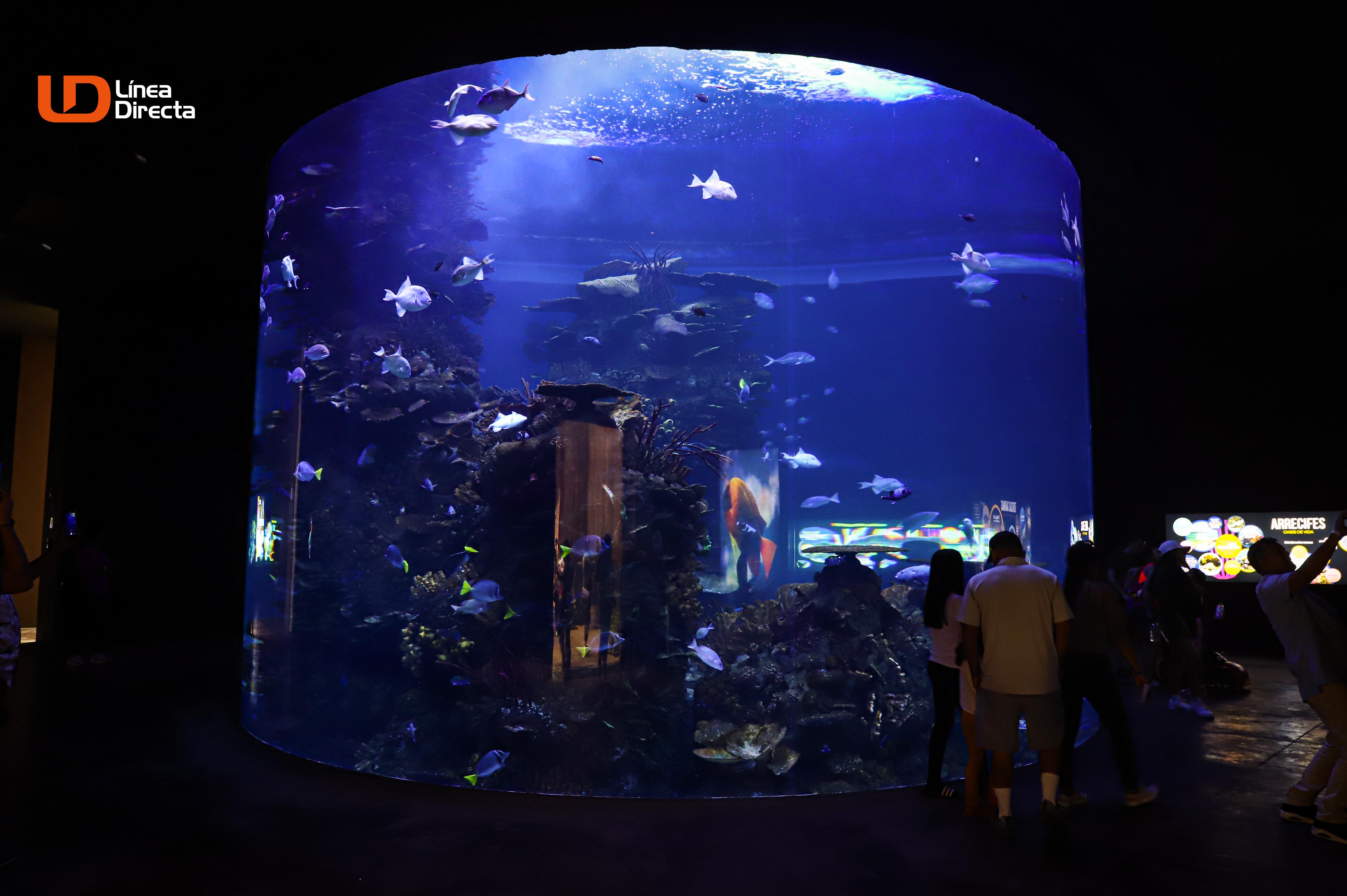 Gran acuario Mazatlán