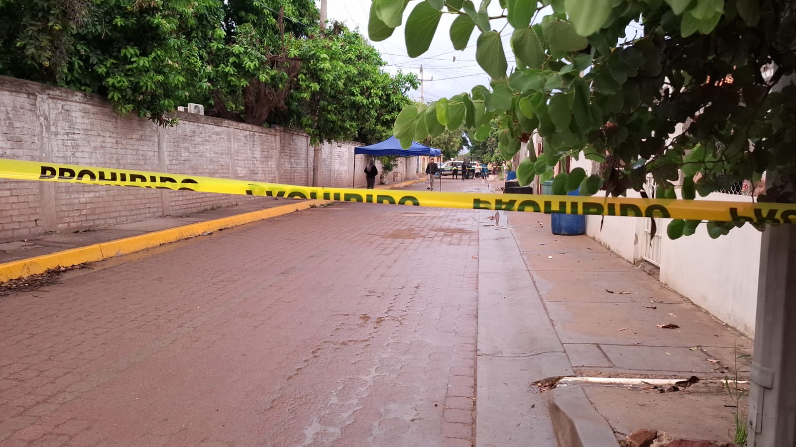 Gatilleros asesinan a un hombre en Navolato