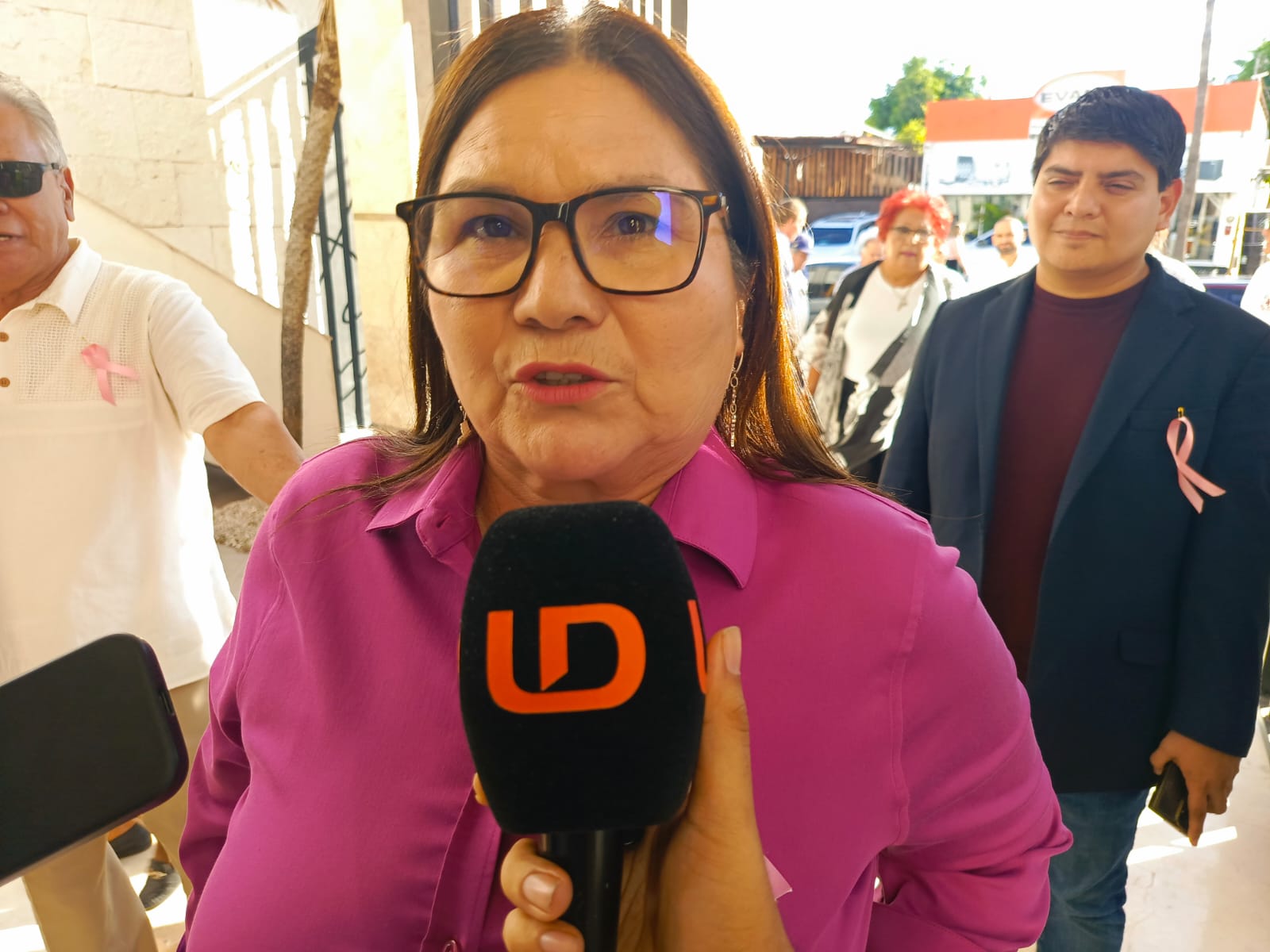 Senadora de Morena, Imelda Castro Castro