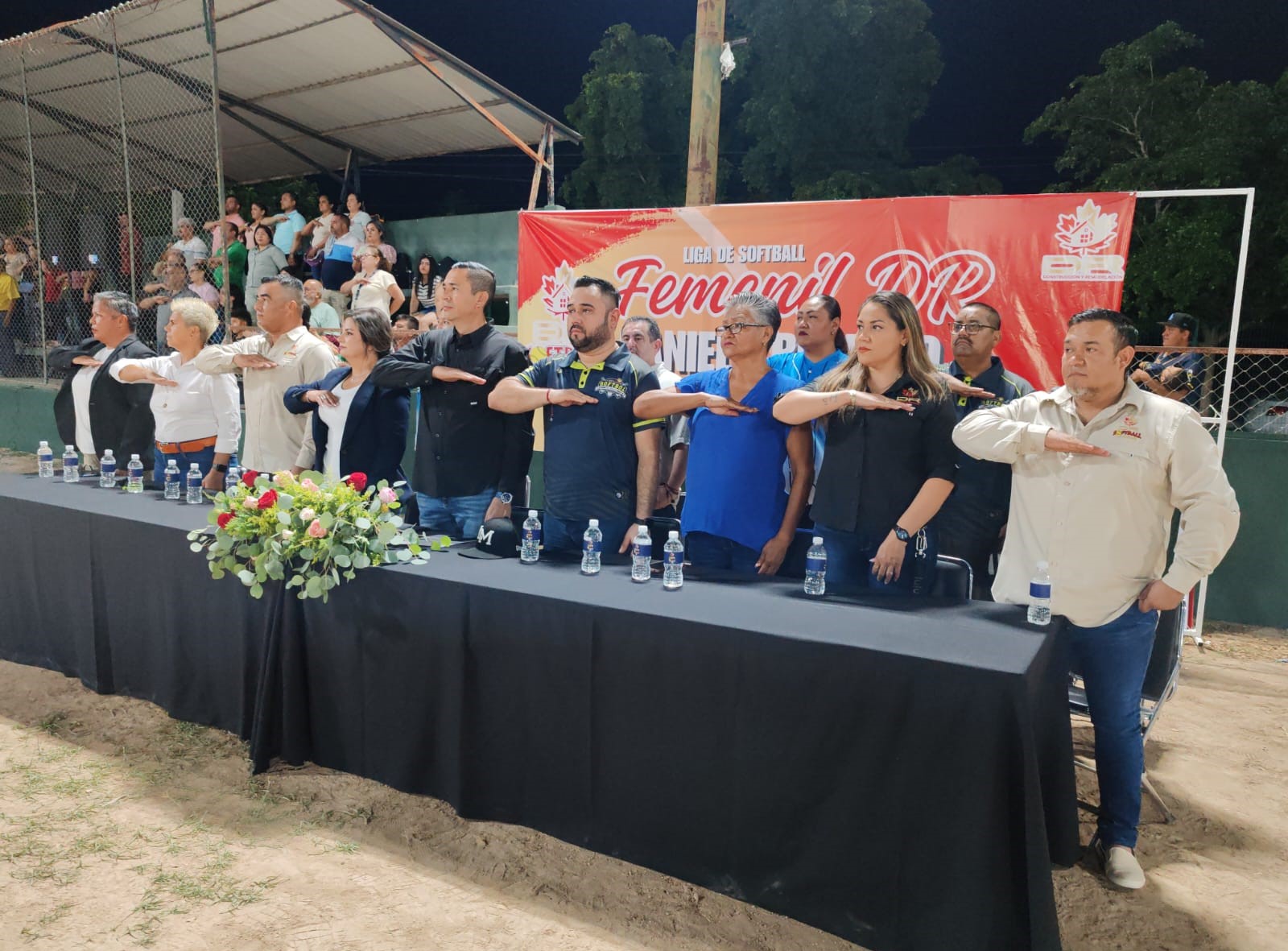 Liga de Softbol Femenil Daniela Romero (DR)