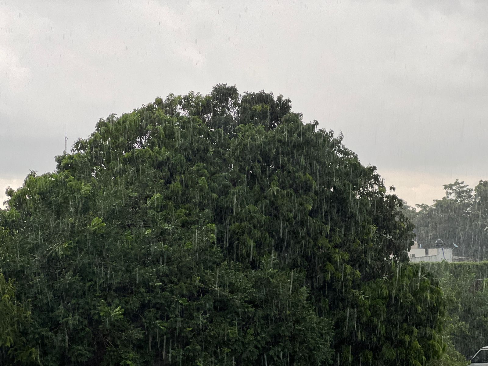 Tarde lluviosa en Culiacán.