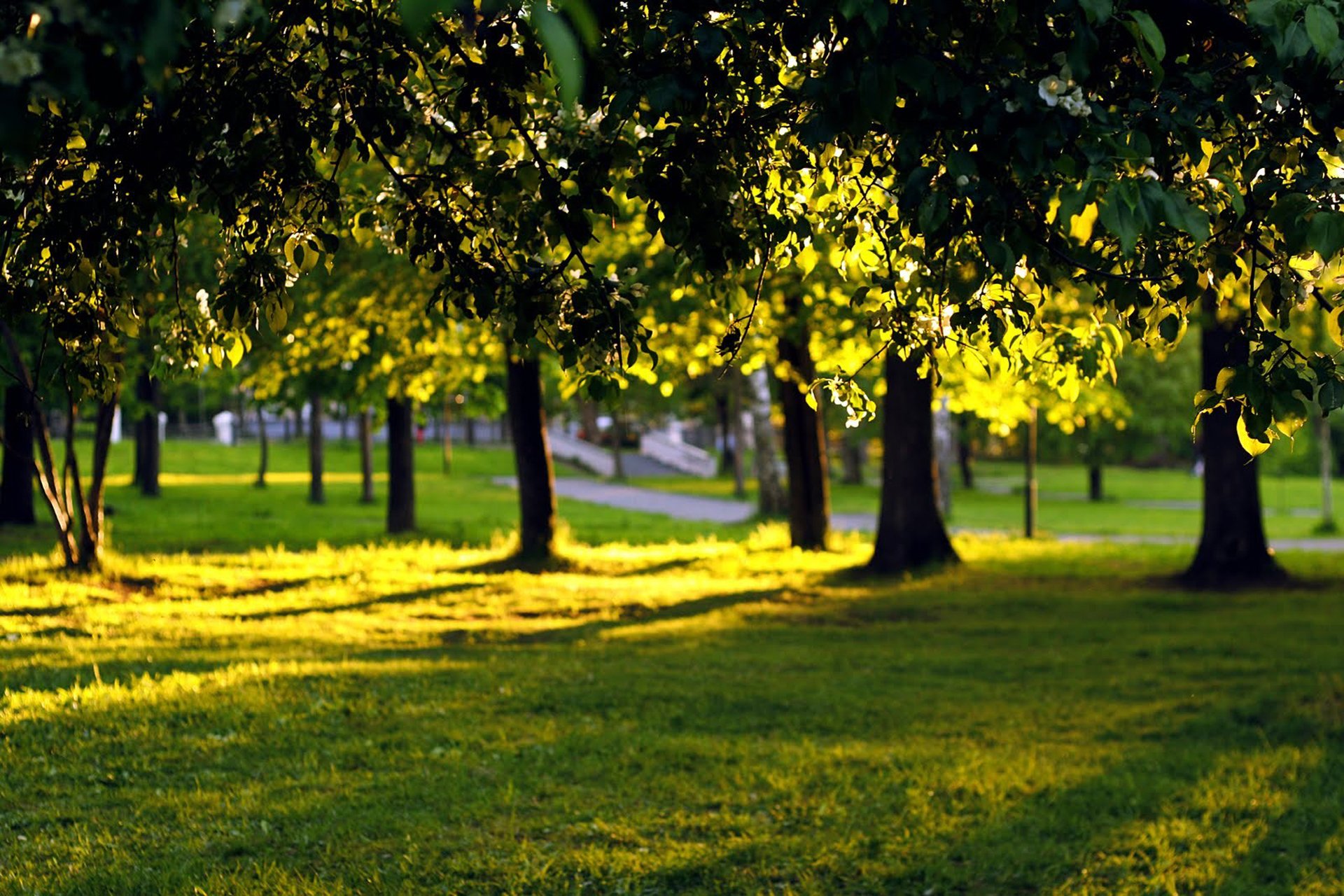 Parque.