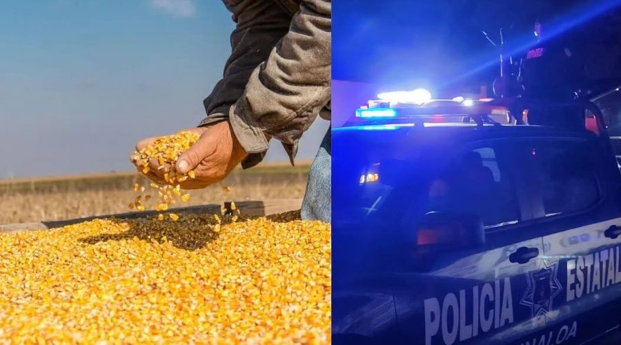 Precios agrícolas preocupan tanto como la seguridad