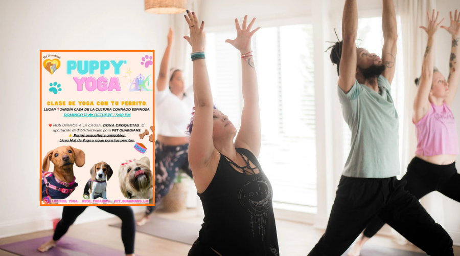 Rose Yoga realizará una clase de yoga en beneficio de animales en Los Mochis.