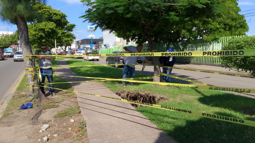 Socavón en la avenida Insurgentes.