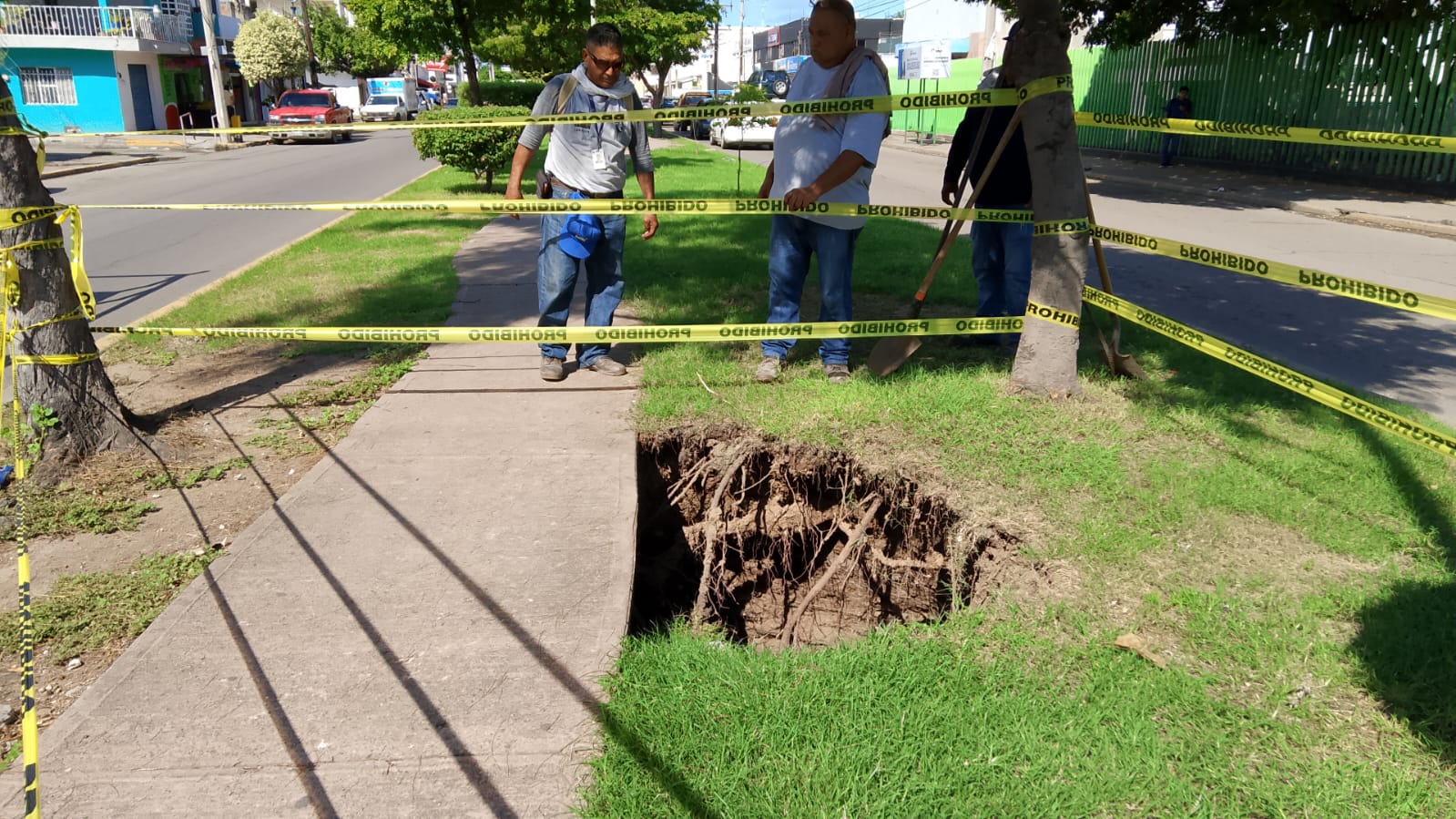Socavón en la avenida Insurgentes.