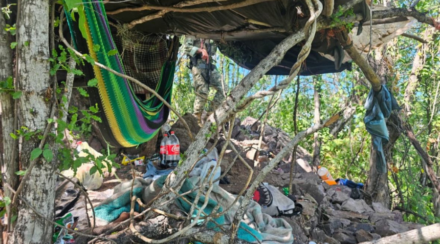 Campamento empleado por la delincuencia organizada