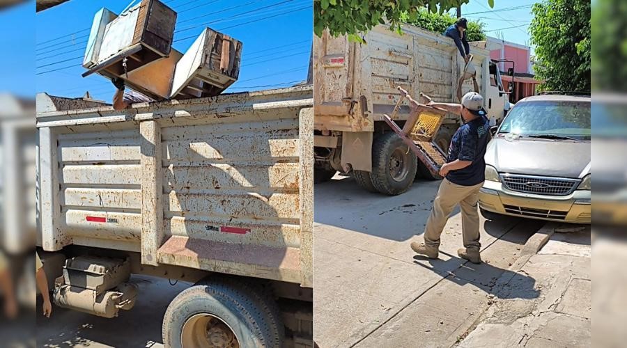 Campaña de descacharrización en Mazatlán