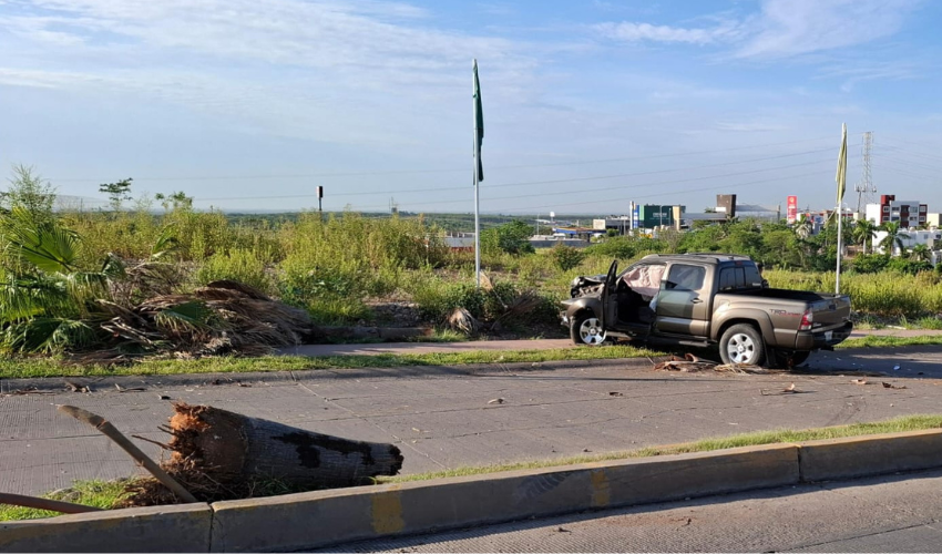 Choque entre una camioneta y una palmera