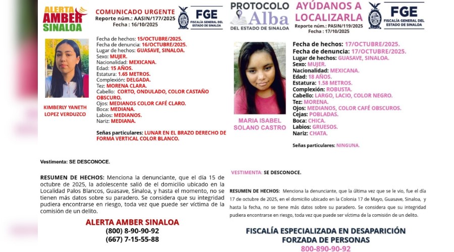 Ficha de las jóvenes desaparecidas