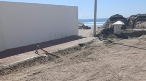 Jornada de limpieza en el bulevar Tiburón