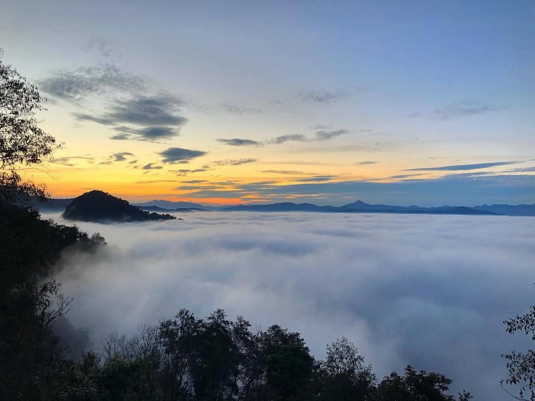 Nubes cubriendo la zona de sierra en Sinaloa con la llegada del amanecer al fondo y arboles