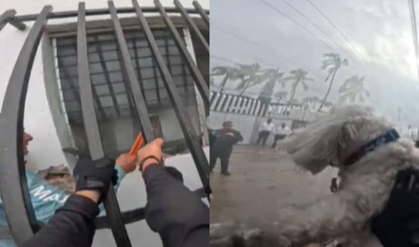 Ciclistas rescatan a un perro atrapado al interior de una casa