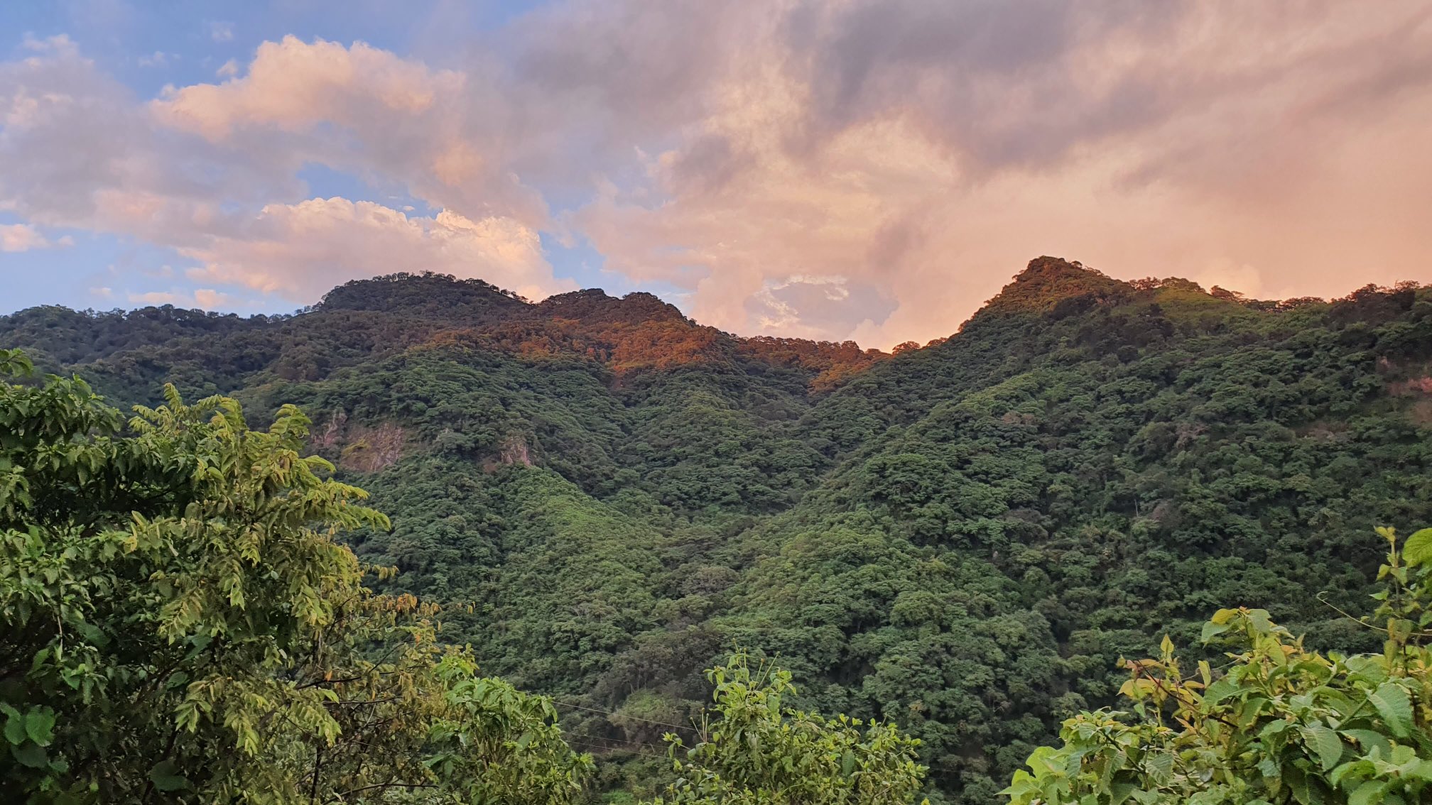 Sierra de Sinaloa con nubes en tonos rosas y lilas