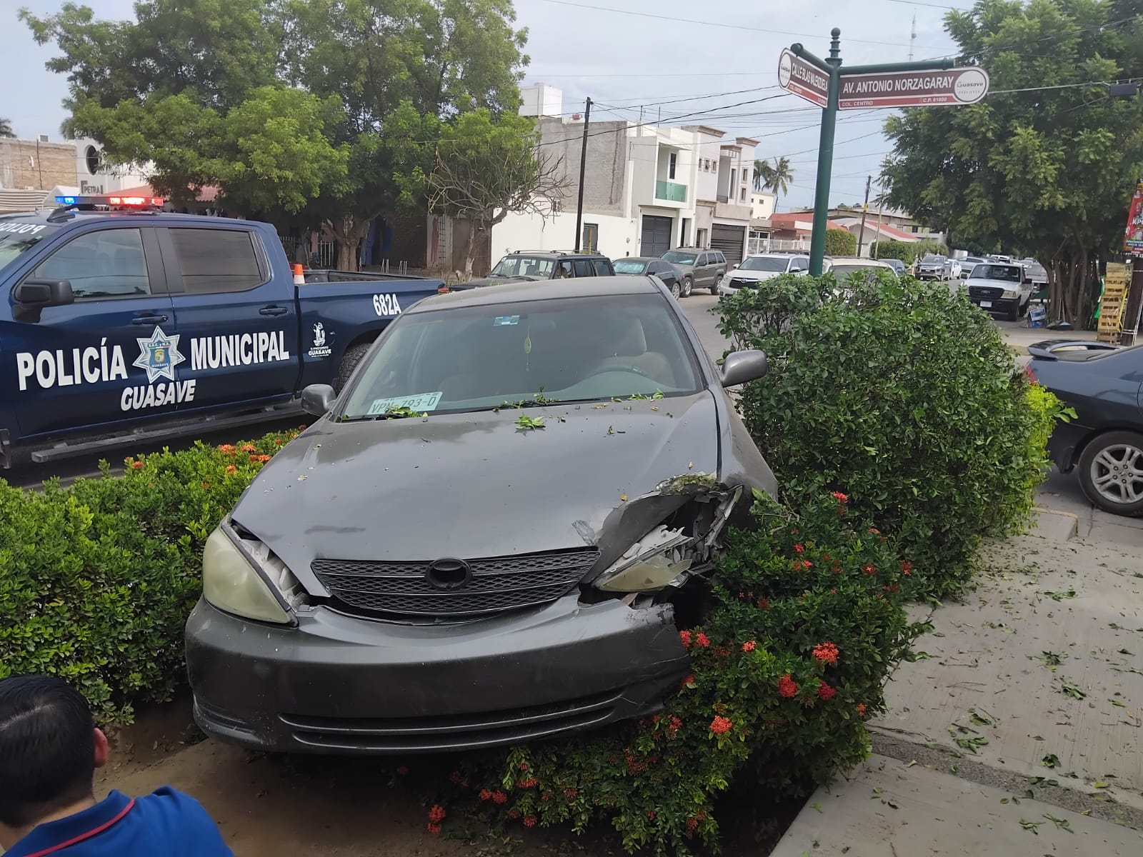 carro atorado en la banqueta y las plantas
