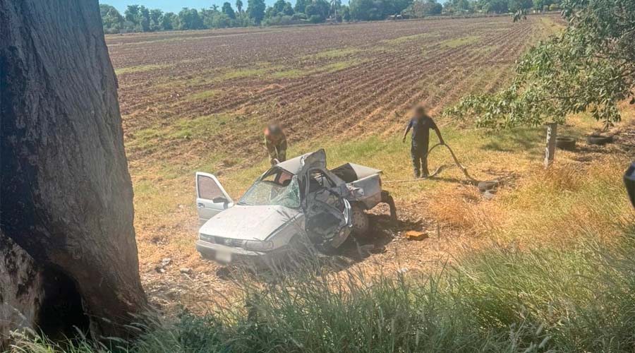 Vehículo Nissan Tsuru choca contra árbol en Guasave