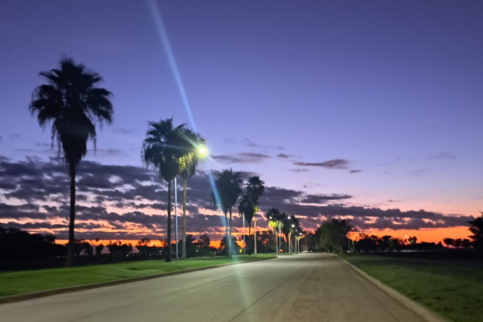Palmeras con un amanecer naranja y azul con calle vacía en Los Mochis