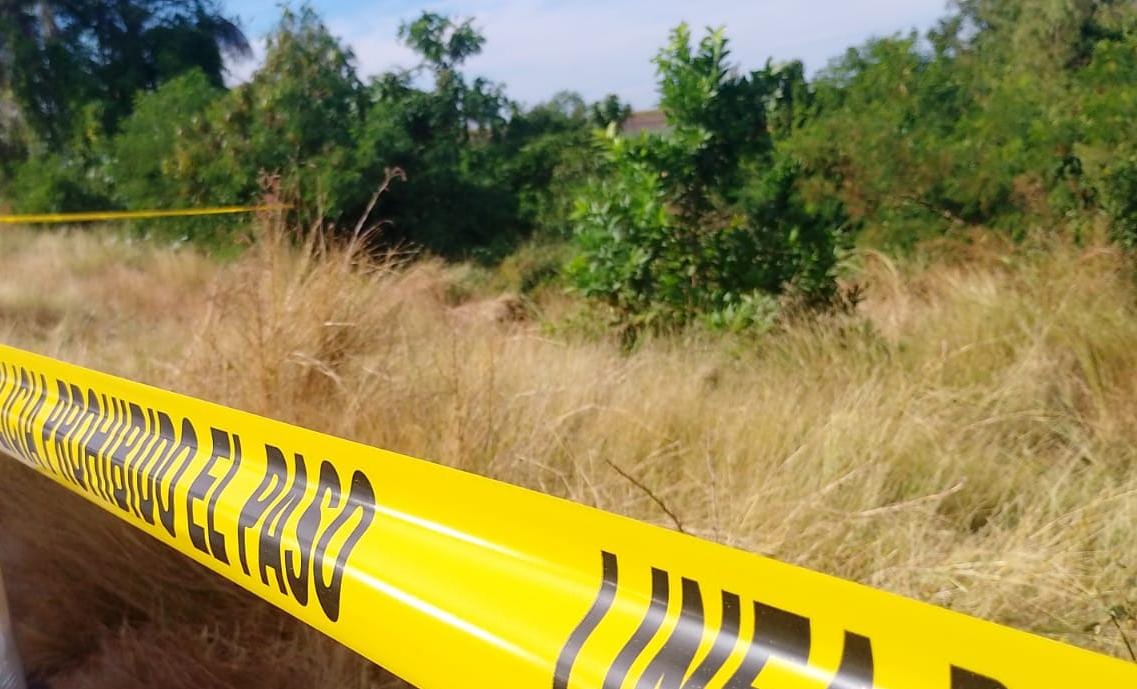 Cinta amarilla en un lugar con maleza