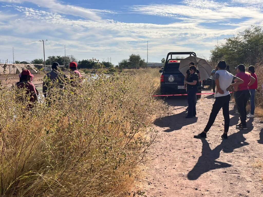 BÚSQUEDA MENOR CULIACÁN