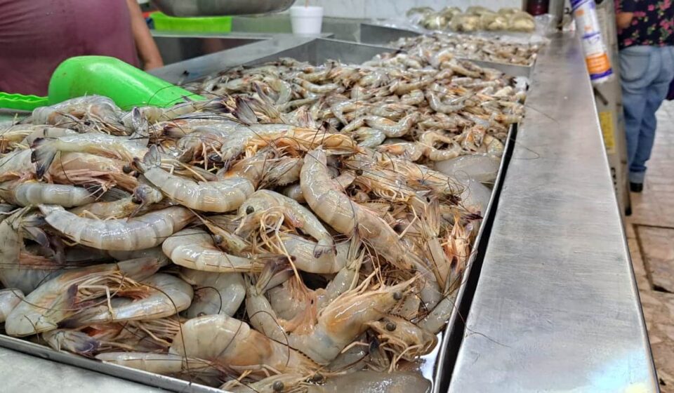 Camarones