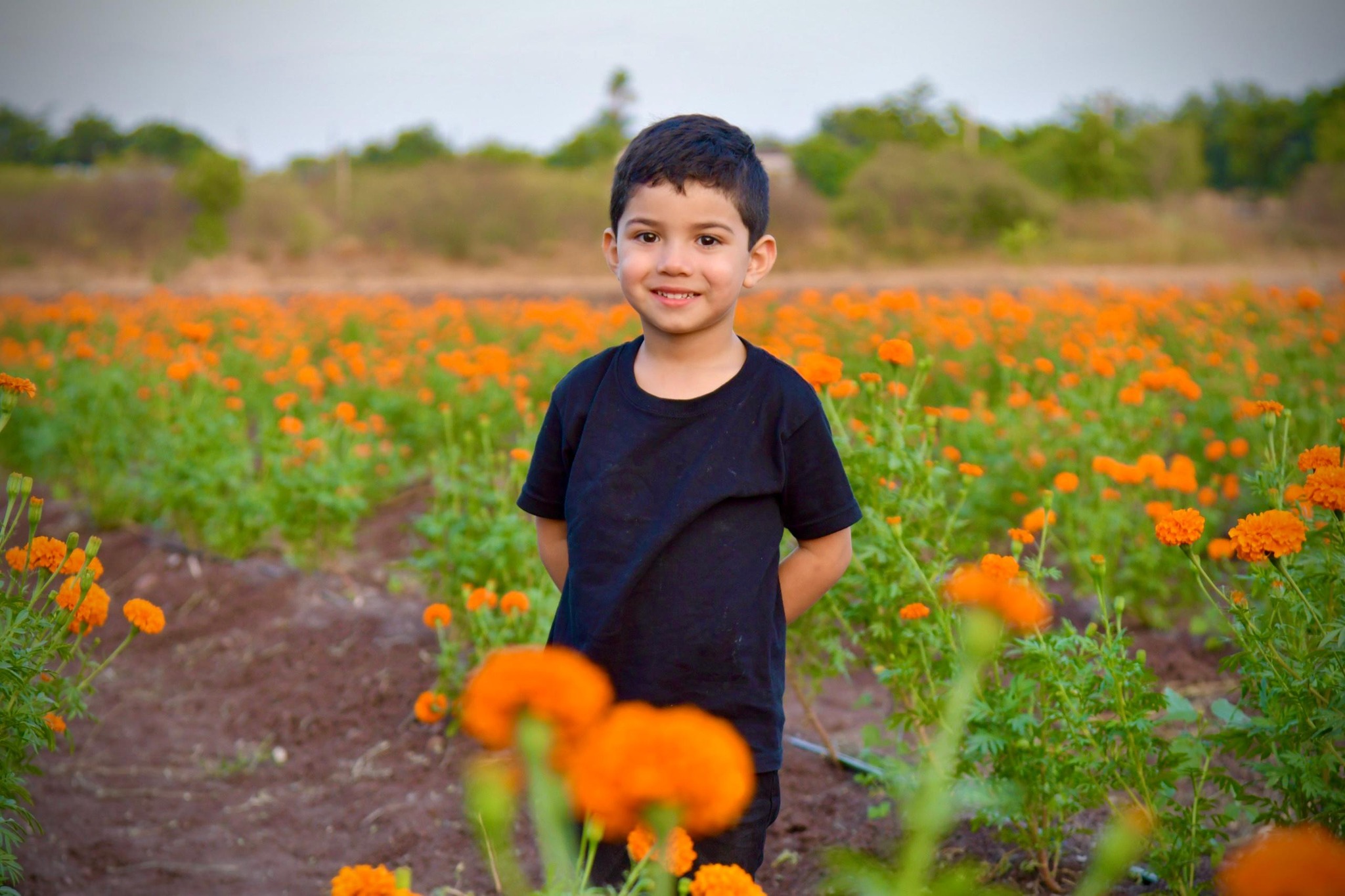 Niño en campo de cempasúchil en Guamúchil