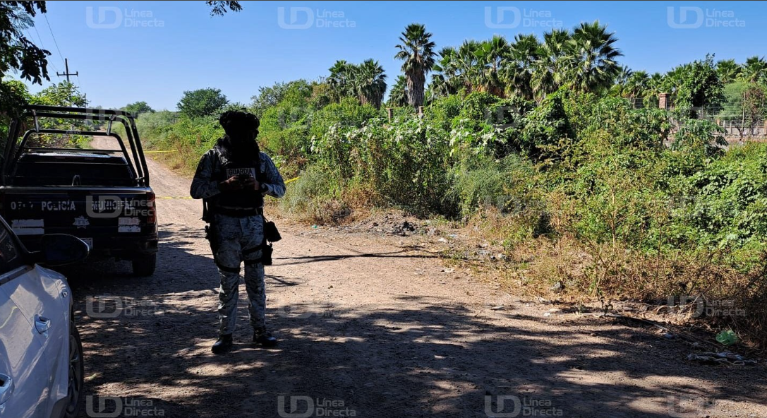 25 de noviembre deja 9 detenidos, inmuebles, drogas, armas y municiones aseguradas en Sinaloa