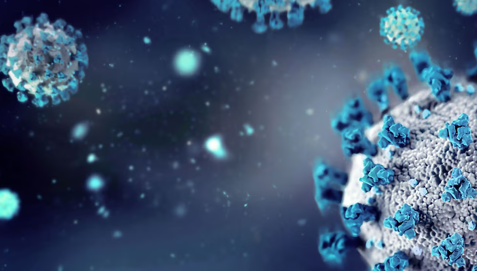 Norovirus repunta en EU; contagios casi se duplican en pleno inicio invernal
