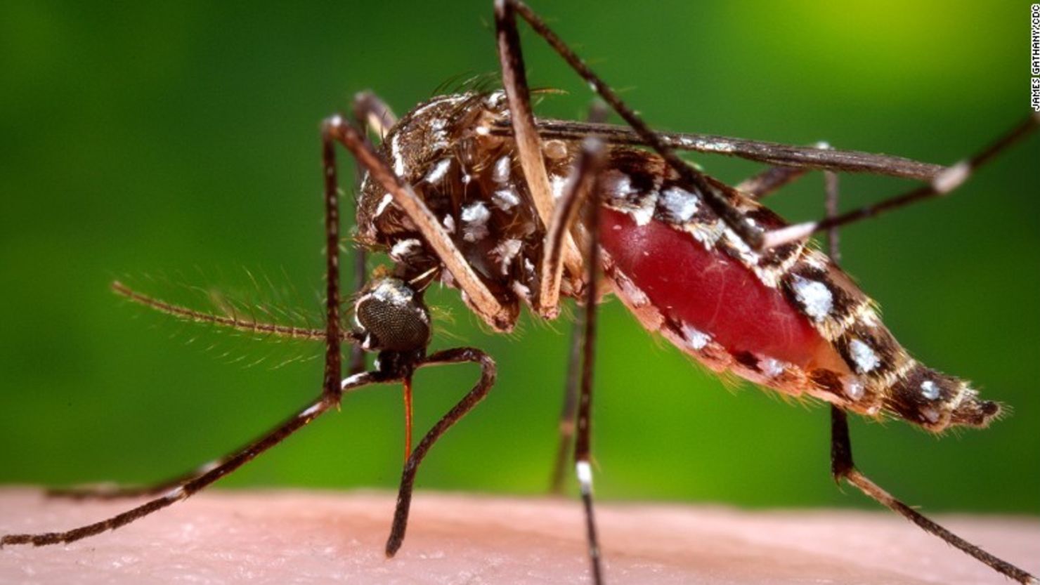 189 casos confirmados de dengue en lo que va de este 2025