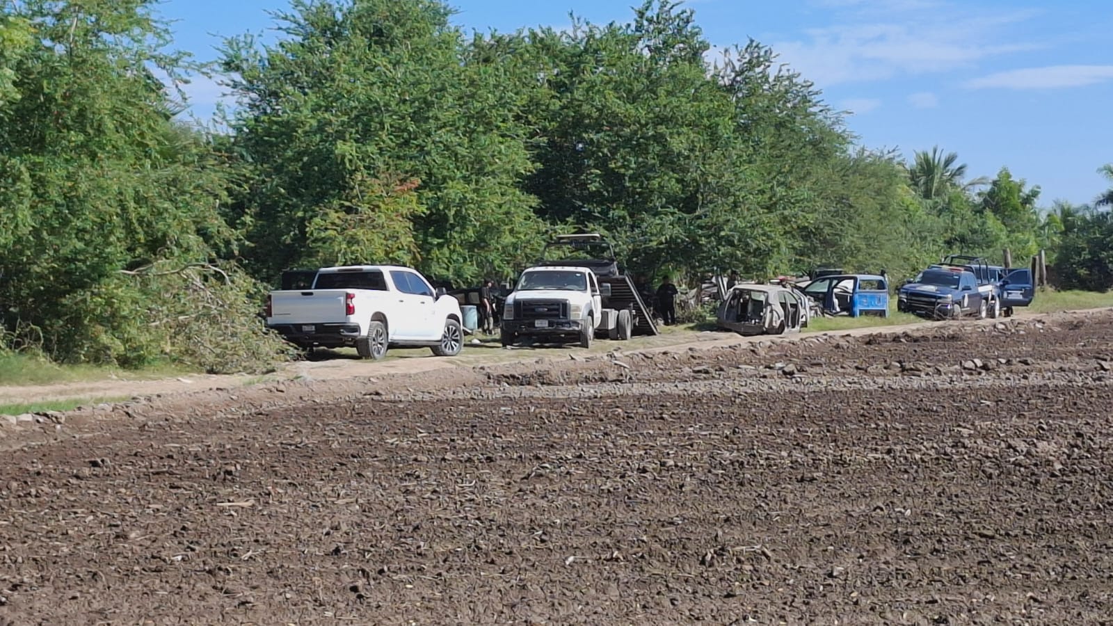 Deshuesadero de carros en una zona rural tipo campo en Eldorado