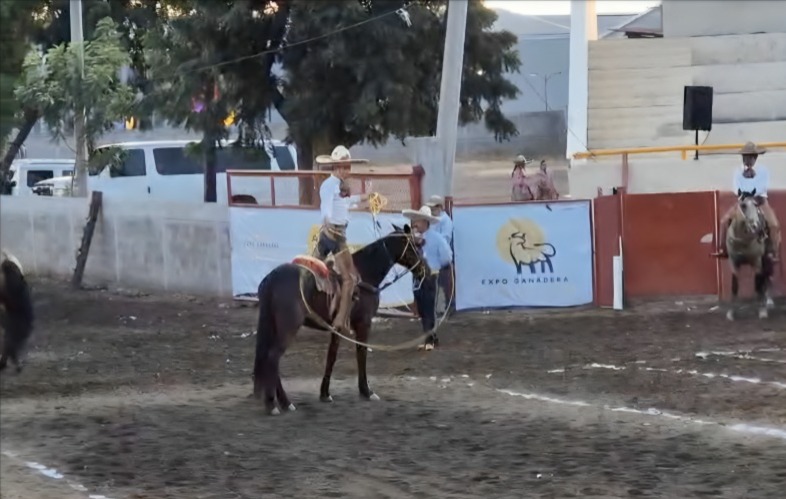 Caballo en la Expo Feria Ganadera Culiacán