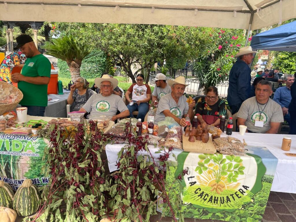 Productores con plantas y siembra de cacahuate