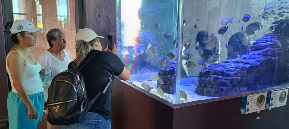 Personas viendo pecera del Gran Acuario Mar de Cortés