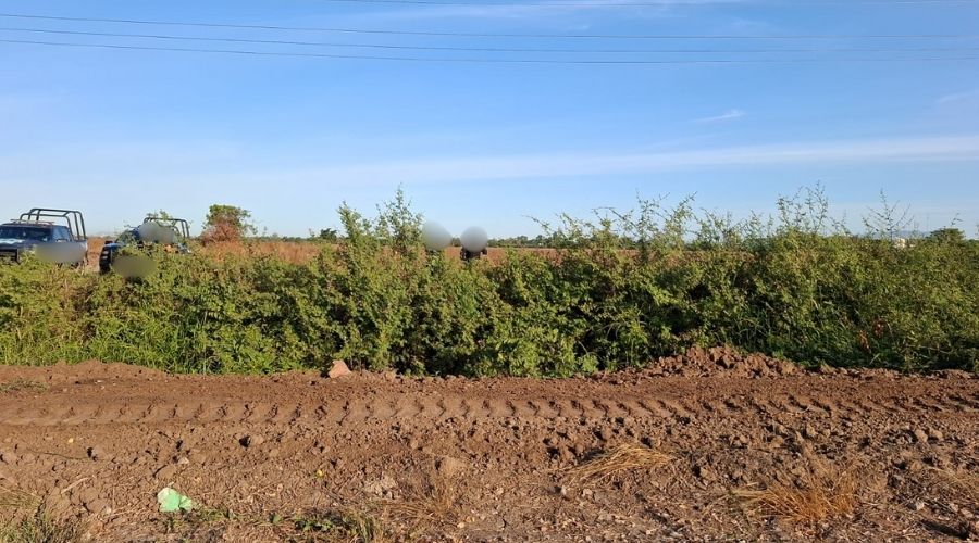Campo en Culiacán con patrullas de fondo