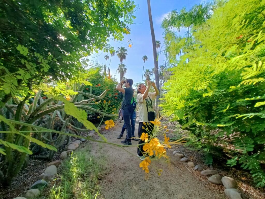 ¿Visitarás el Jardín Botánico Benjamín Francis Johnston en Los Mochis? Checa sus nuevos horarios