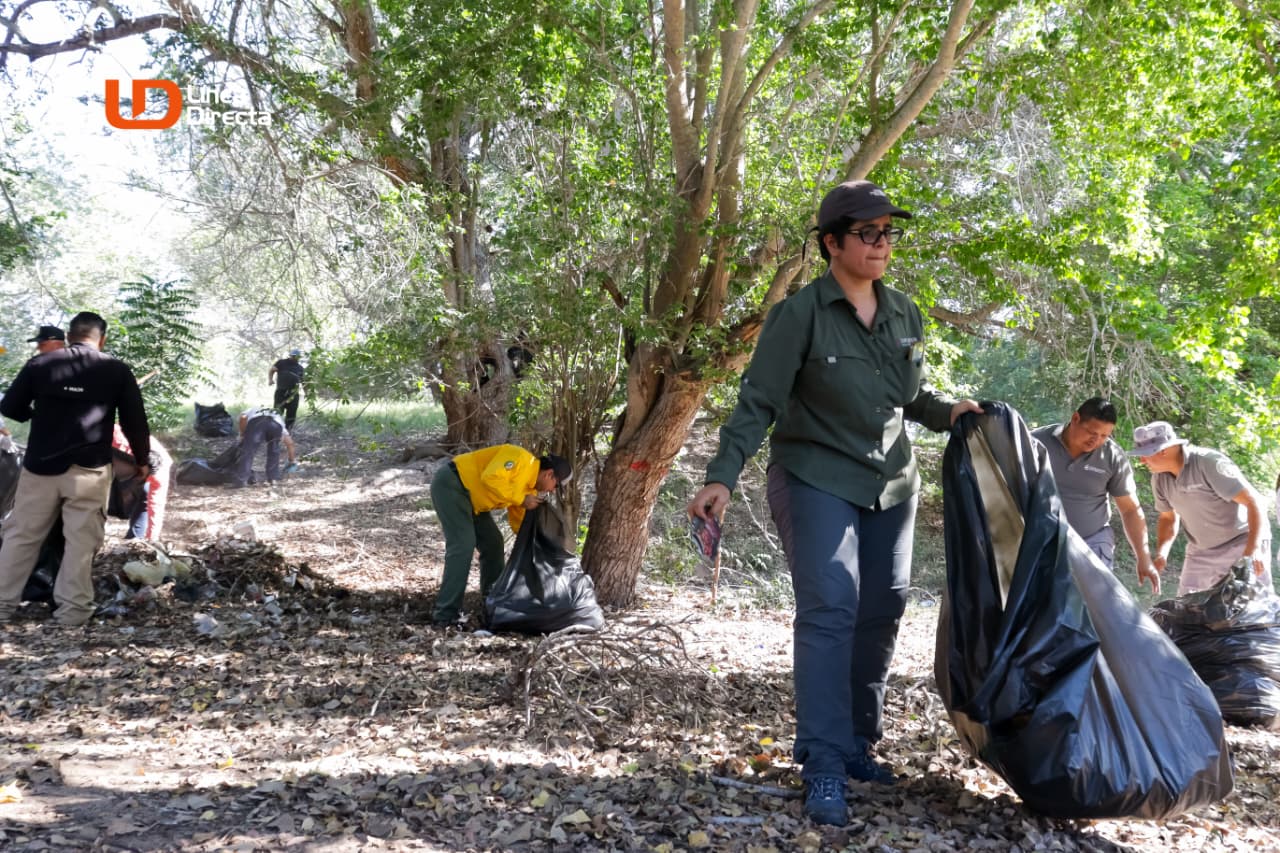 Labores de limpieza en el Río Fuerte