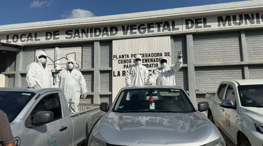 Brigada de la Junta Local de Sanidad Vegetal